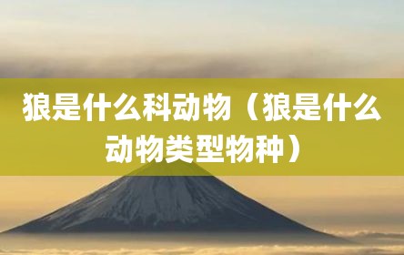 狼是什么科动物（狼是什么动物类型物种）
