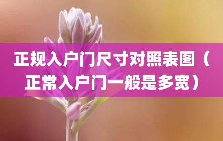 正规入户门尺寸对照表图（正常入户门一般是多宽）
