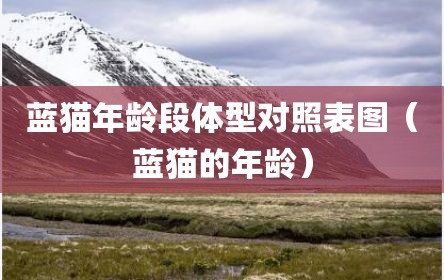 蓝猫年龄段体型对照表图（蓝猫的年龄）