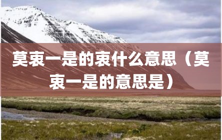 莫衷一是的衷什么意思（莫衷一是的意思是）