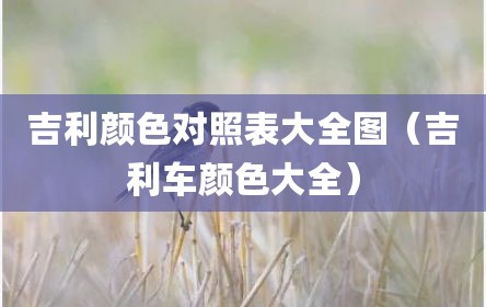 吉利颜色对照表大全图（吉利车颜色大全）
