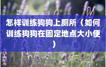 怎样训练狗狗上厕所（如何训练狗狗在固定地点大小便）