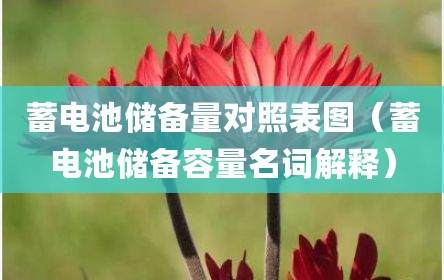蓄电池储备量对照表图（蓄电池储备容量名词解释）