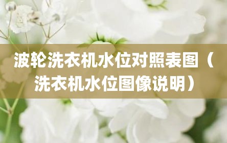 波轮洗衣机水位对照表图（洗衣机水位图像说明）