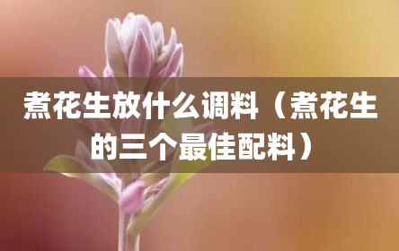 煮花生放什么调料（煮花生的三个最佳配料）