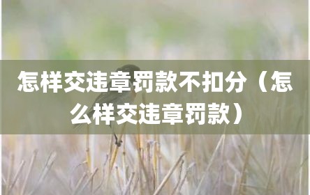 怎样交违章罚款不扣分（怎么样交违章罚款）