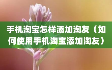 手机淘宝怎样添加淘友（如何使用手机淘宝添加淘友）