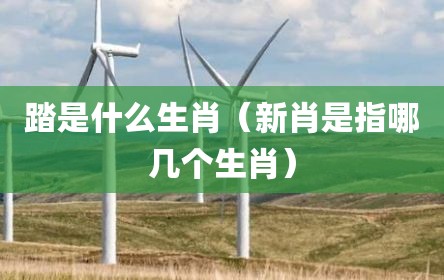踏是什么生肖（新肖是指哪几个生肖）
