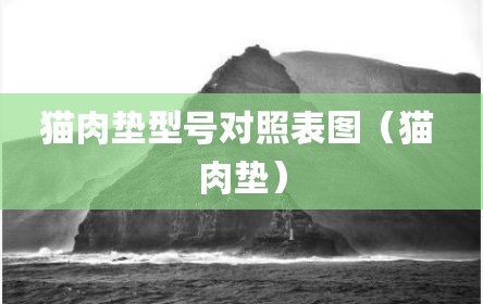 猫肉垫型号对照表图（猫 肉垫）