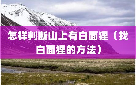 怎样判断山上有白面狸（找白面狸的方法）