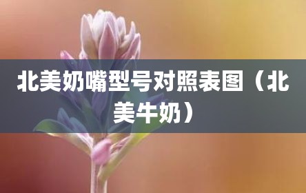 北美奶嘴型号对照表图（北美牛奶）