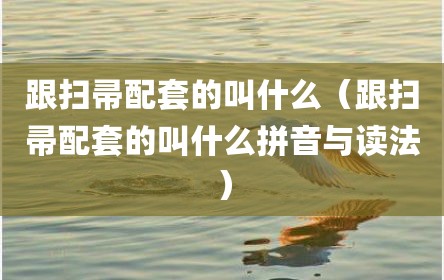 跟扫帚配套的叫什么（跟扫帚配套的叫什么拼音与读法）