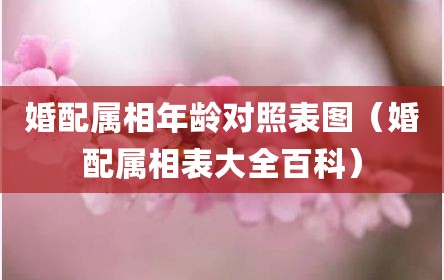 婚配属相年龄对照表图（婚配属相表大全百科）