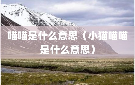 喵喵是什么意思（小猫喵喵是什么意思）