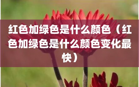 红色加绿色是什么颜色（红色加绿色是什么颜色变化最快）