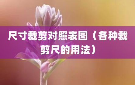 尺寸裁剪对照表图（各种裁剪尺的用法）