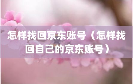 怎样找回京东账号（怎样找回自己的京东账号）