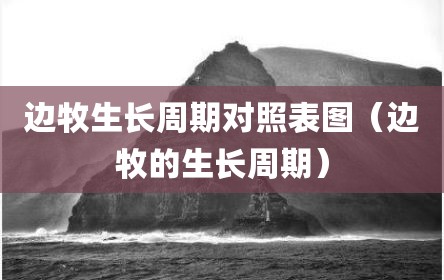 边牧生长周期对照表图（边牧的生长周期）