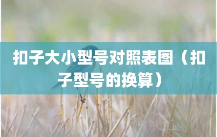 扣子大小型号对照表图（扣子型号的换算）