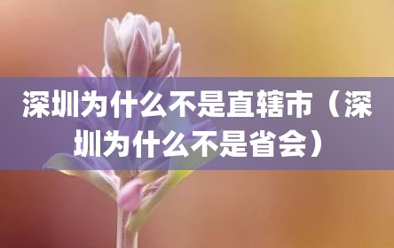 深圳为什么不是直辖市（深圳为什么不是省会）