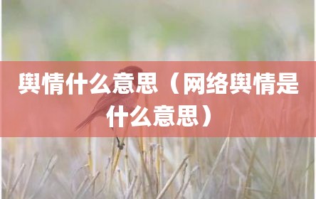 舆情什么意思（网络舆情是什么意思）