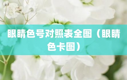 眼睛色号对照表全图（眼睛色卡图）
