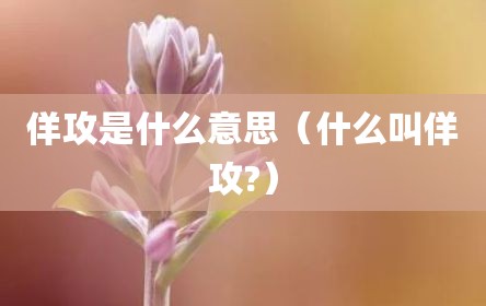 佯攻是什么意思（什么叫佯攻?）