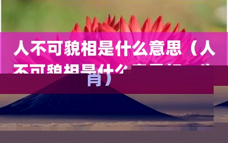 人不可貌相是什么意思（人不可貌相是什么意思打一生肖）