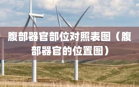 腹部器官部位对照表图（腹部器官的位置图）