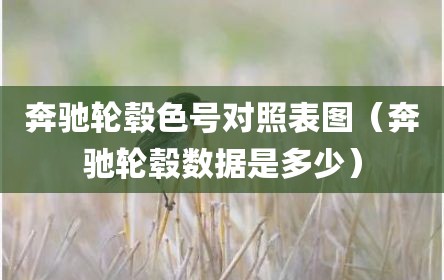 奔驰轮毂色号对照表图（奔驰轮毂数据是多少）