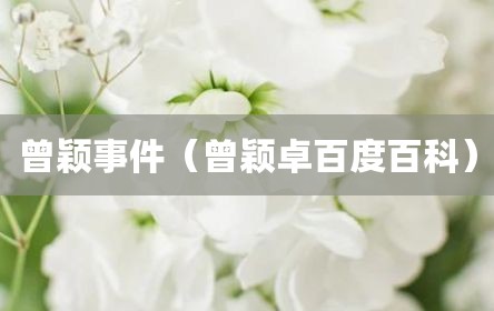 曾颖事件（曾颖卓百度百科）