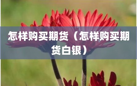 怎样购买期货（怎样购买期货白银）