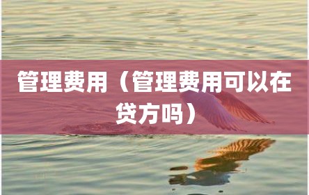 管理费用（管理费用可以在贷方吗）