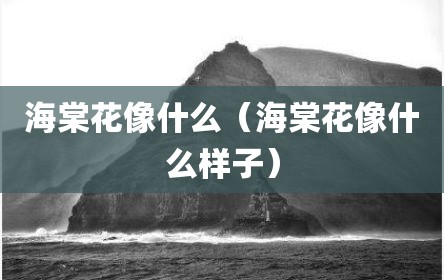 海棠花像什么（海棠花像什么样子）
