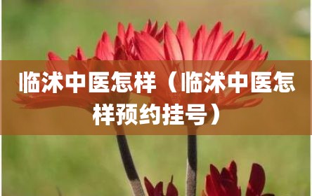 临沭中医怎样（临沭中医怎样预约挂号）