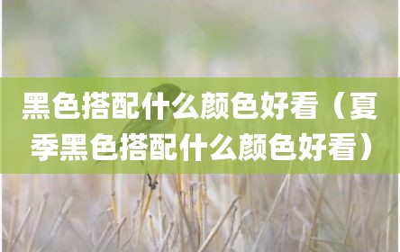黑色搭配什么颜色好看（夏季黑色搭配什么颜色好看）