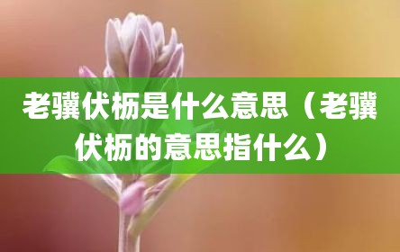 老骥伏枥是什么意思（老骥伏枥的意思指什么）