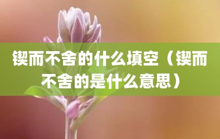锲而不舍的什么填空（锲而不舍的是什么意思）