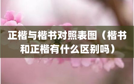 正楷与楷书对照表图（楷书和正楷有什么区别吗）