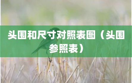 头围和尺寸对照表图（头围参照表）