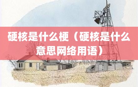 硬核是什么梗（硬核是什么意思网络用语）