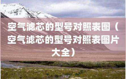 空气滤芯的型号对照表图（空气滤芯的型号对照表图片大全）