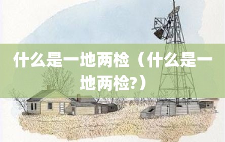 什么是一地两检（什么是一地两检?）