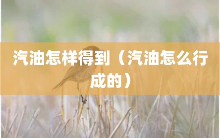 汽油怎样得到（汽油怎么行成的）