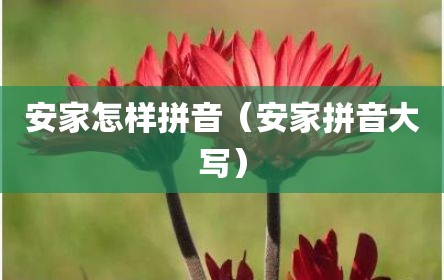 安家怎样拼音（安家拼音大写）