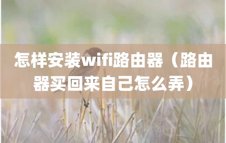 怎样安装wifi路由器（路由器买回来自己怎么弄）