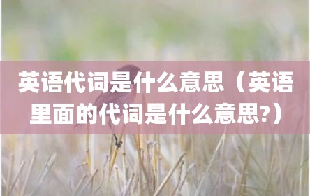 英语代词是什么意思（英语里面的代词是什么意思?）