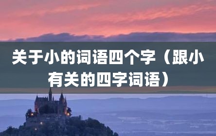 关于小的词语四个字（跟小有关的四字词语）