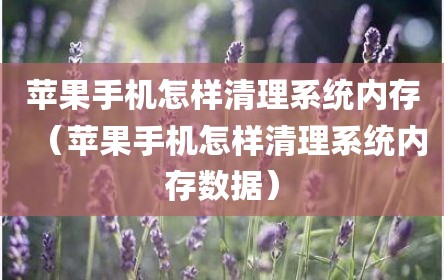 苹果手机怎样清理系统内存（苹果手机怎样清理系统内存数据）