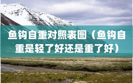 鱼钩自重对照表图（鱼钩自重是轻了好还是重了好）